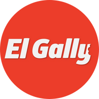 GALLY MASCOTAS